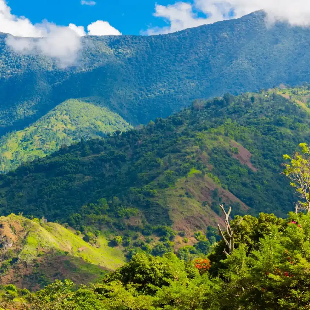 Jamaica