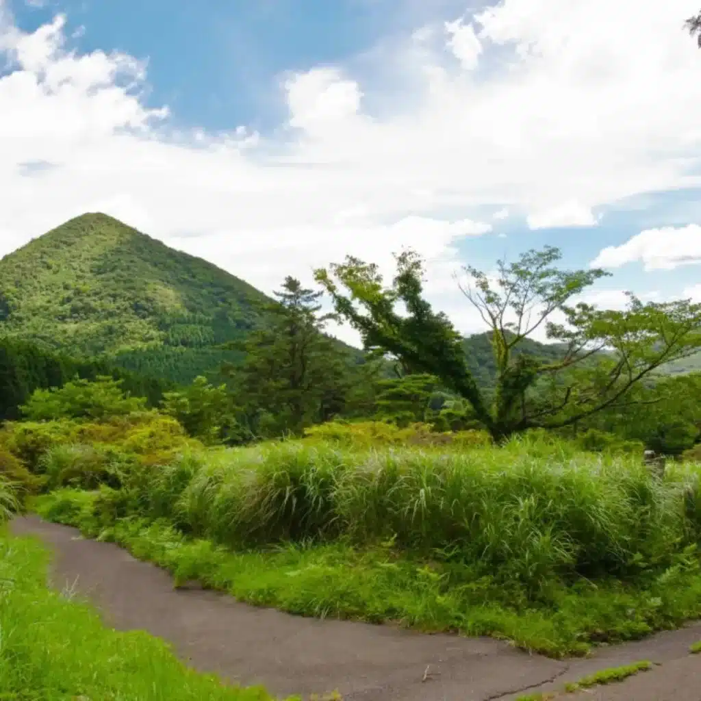 Japan 
