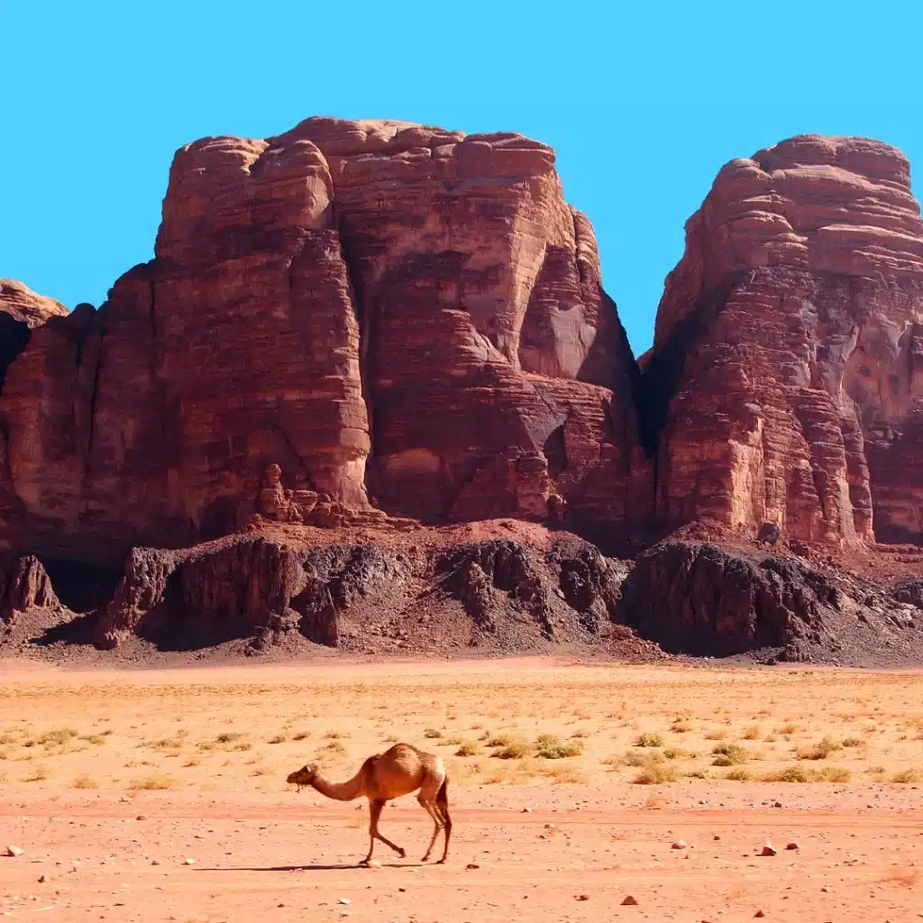 Jordan