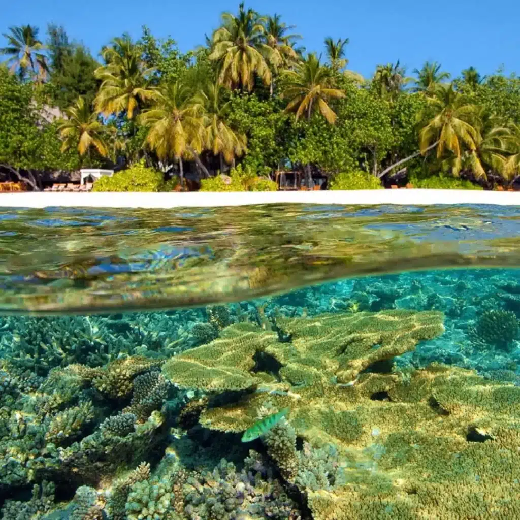 Maldives