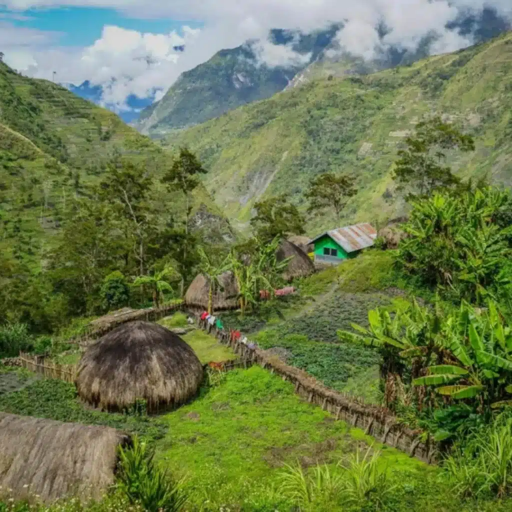 Papua New Guinea