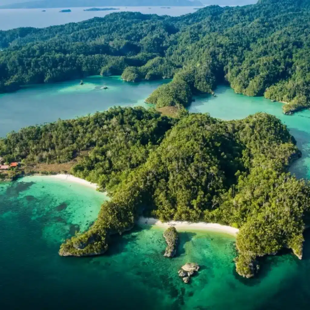 Papua New Guinea