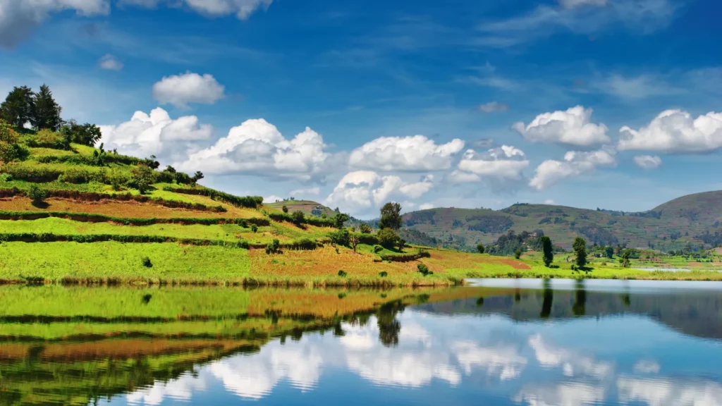 Dramatic South African landscape featuring rolling hills, lush greenery, and a distant mountain range under a clear blue sky