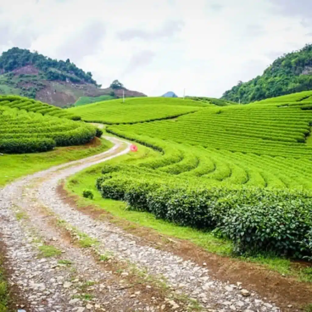 Vietnam