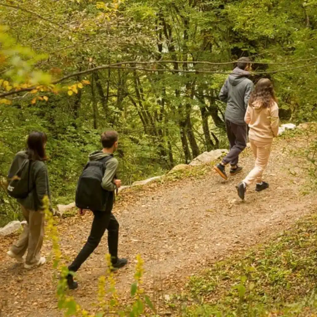 Yenokavan Forest Trails