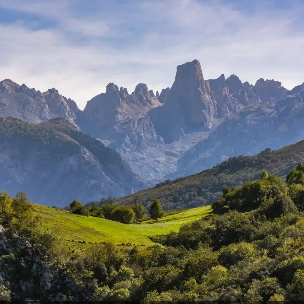 Asturias Woodlands
