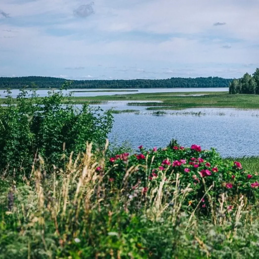 Osveya Lake District