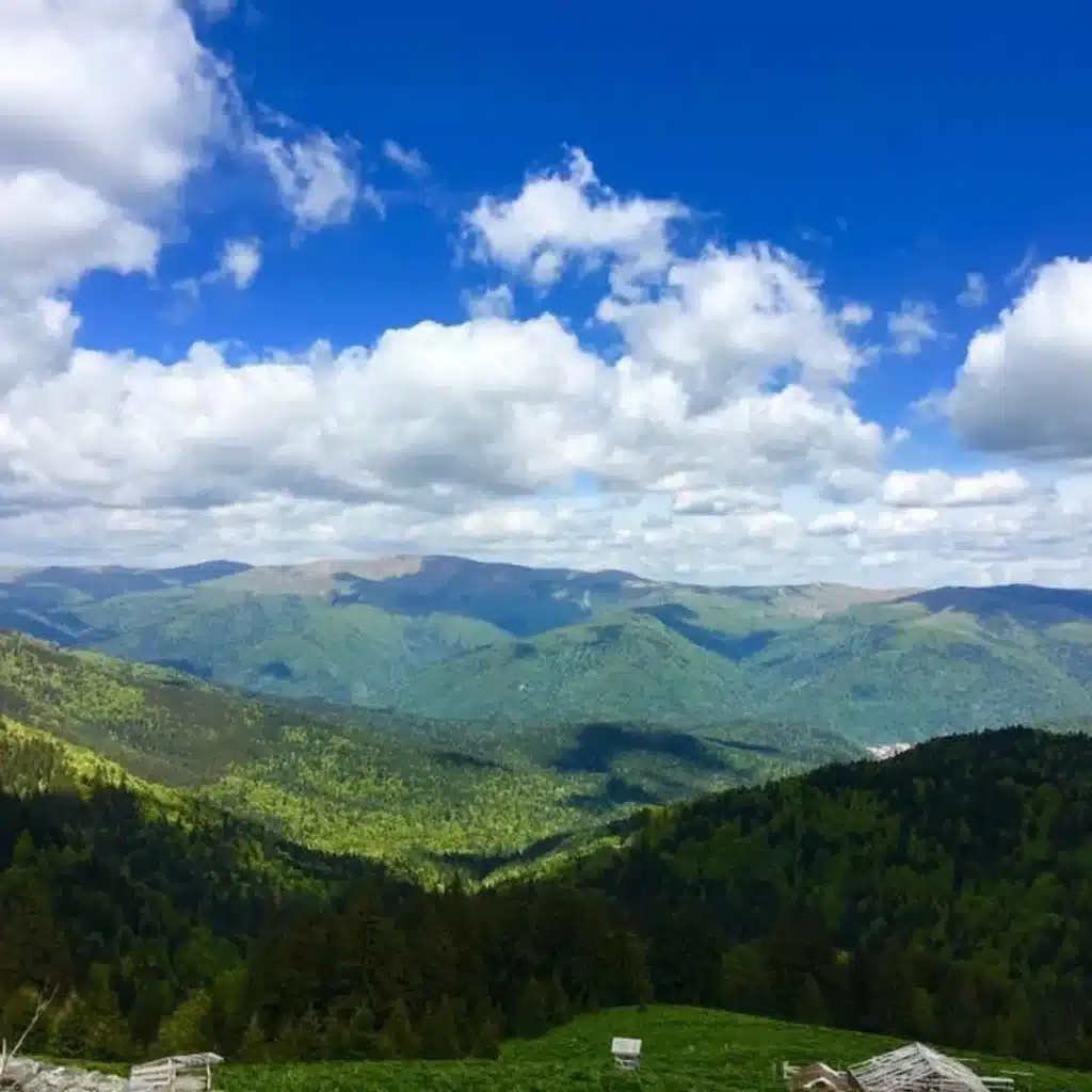 The Carpathian Mountains
