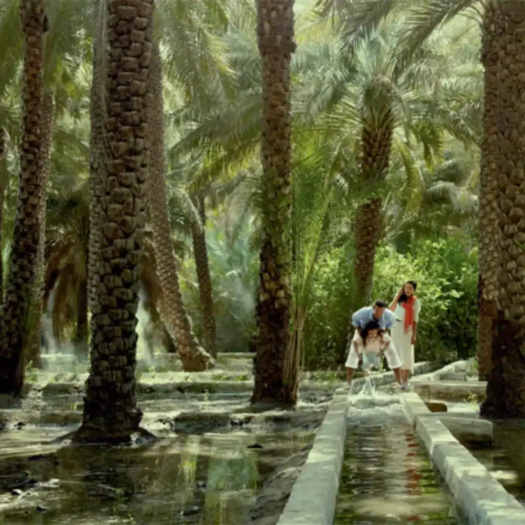 Al Ain Oasis