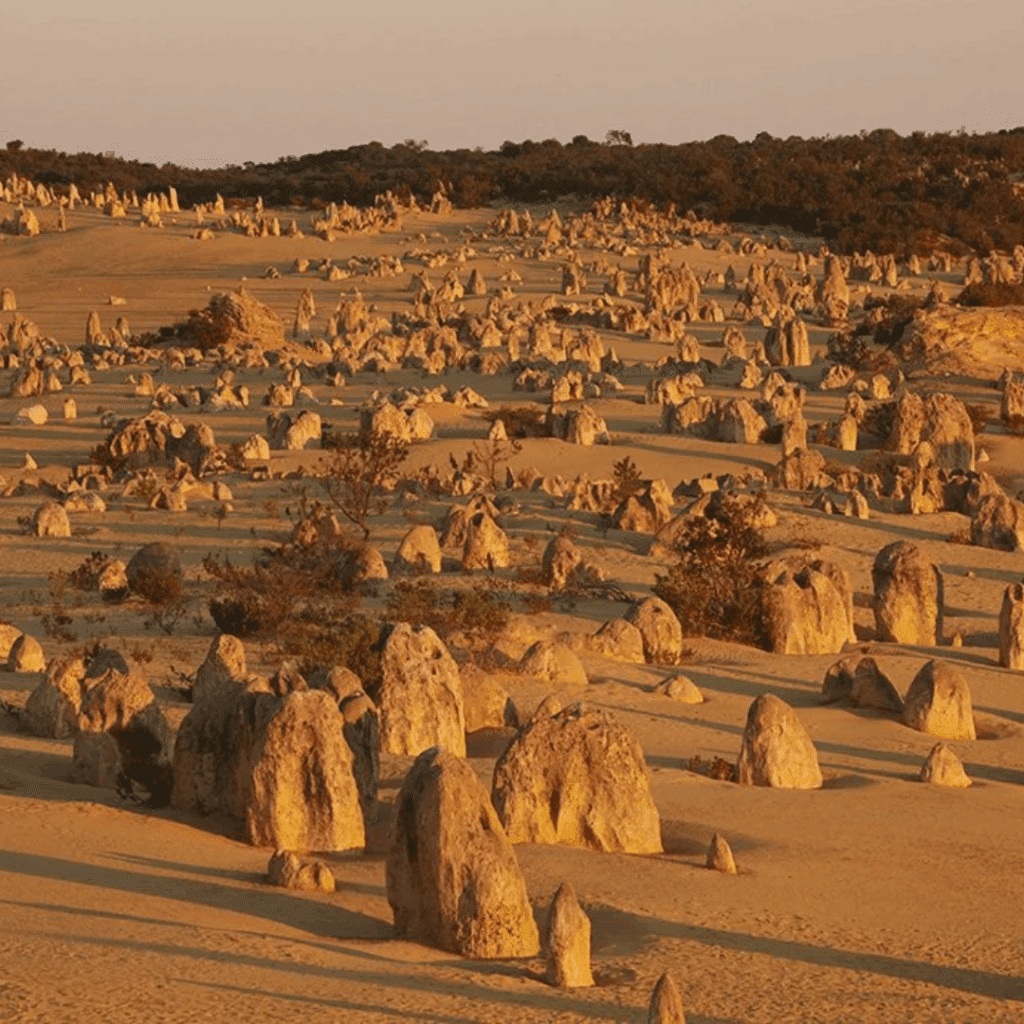 The Pinnacles Desert