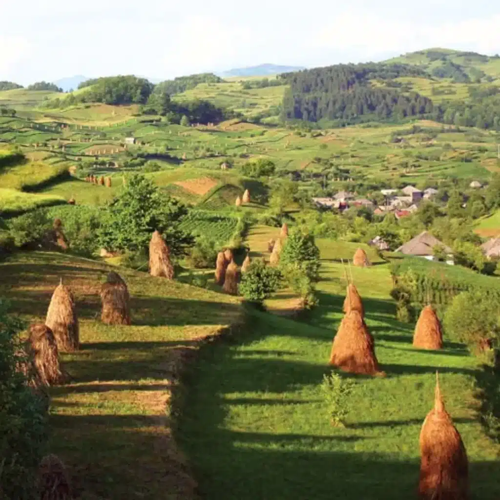 Maramureș Countryside