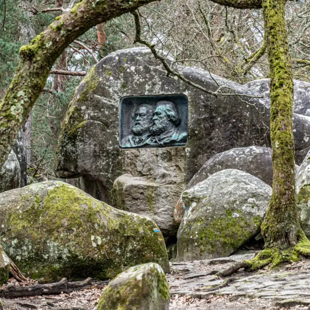 Fontainebleau Forest