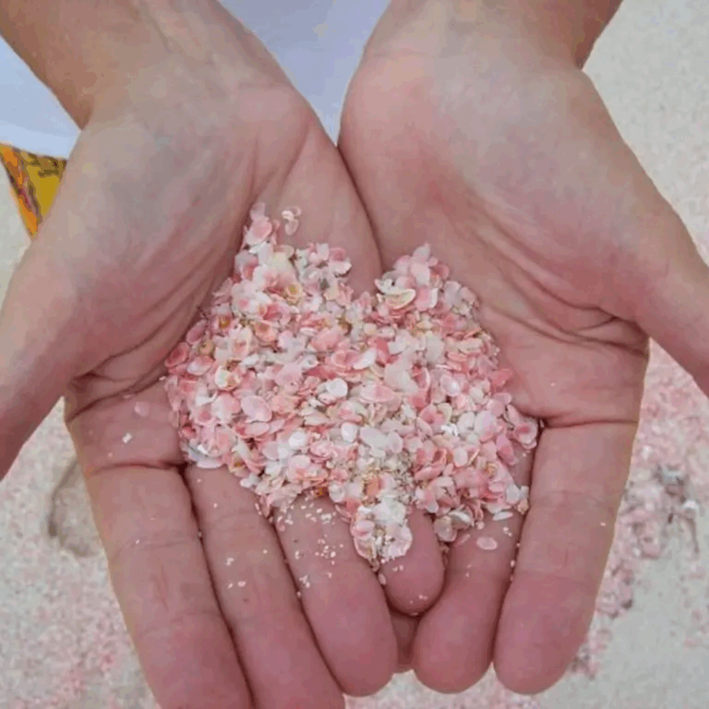 Pink-sand beaches