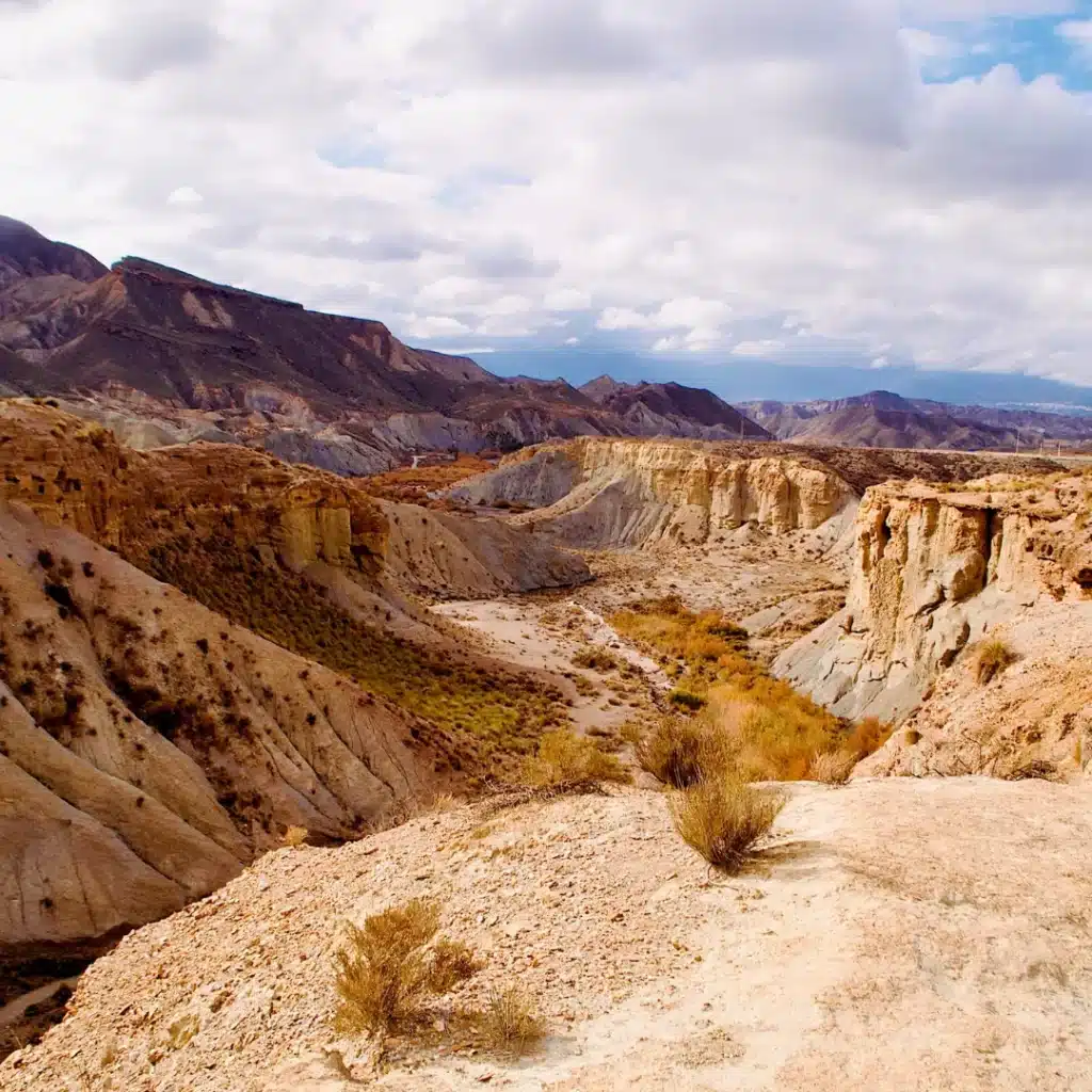 Tabernas Desert