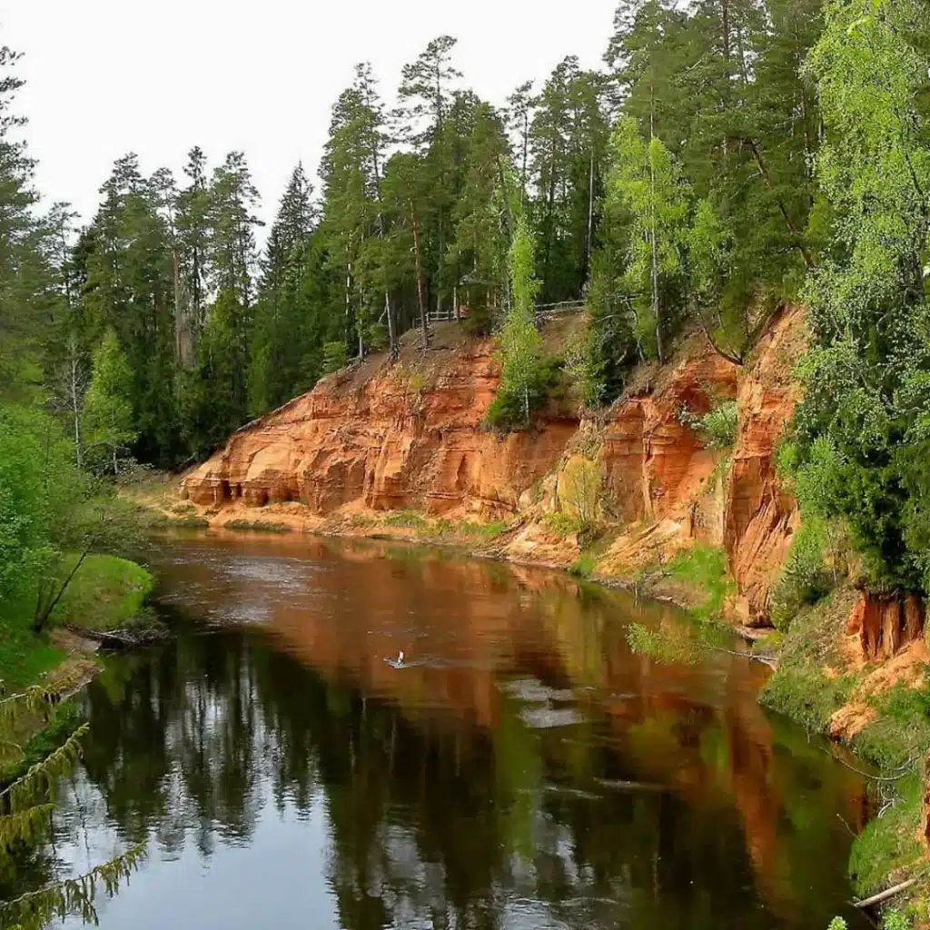 National forests and nature reserves