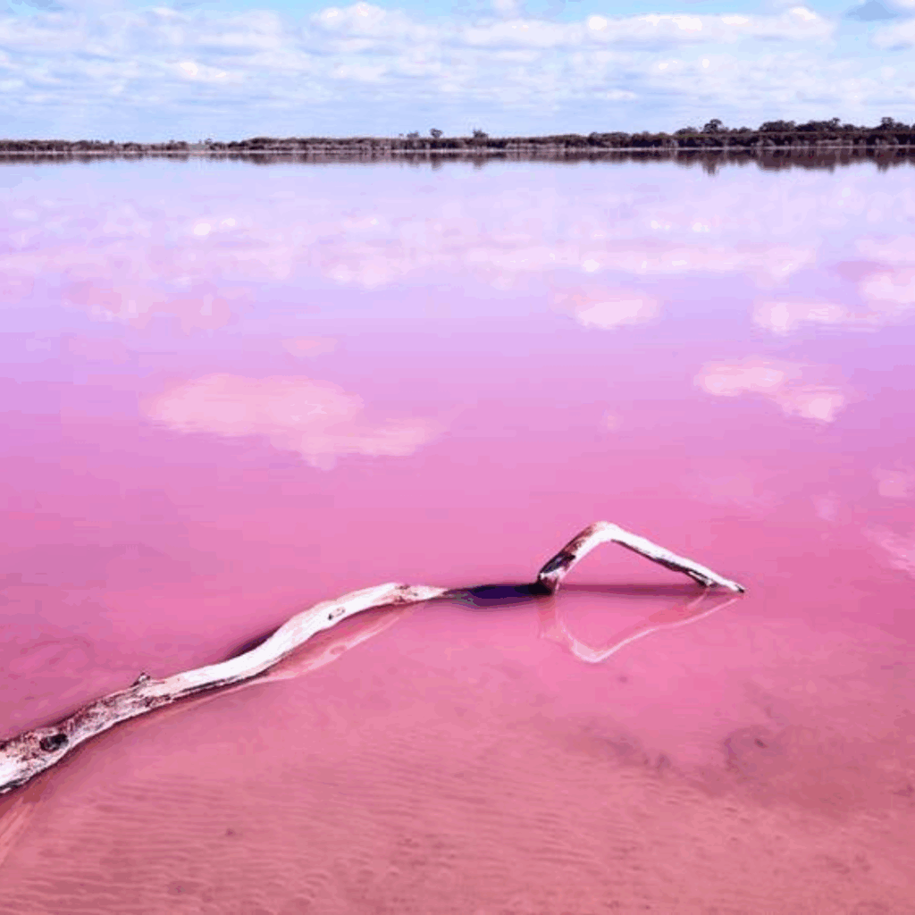 Pink Lake Hillier