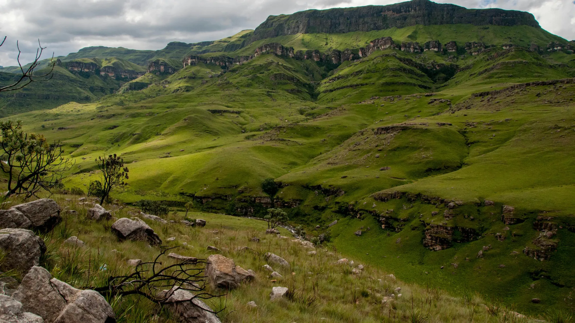 filming in southern Africa