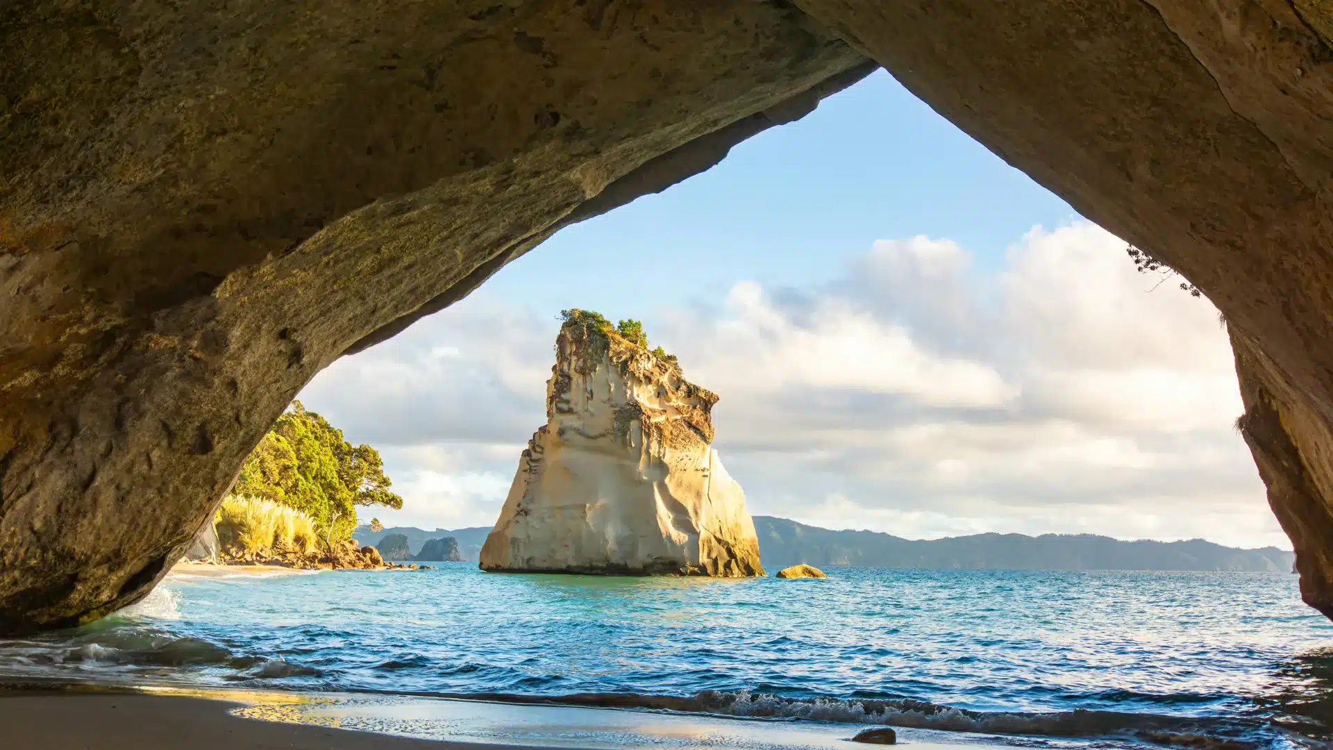 Production Support New Zealand