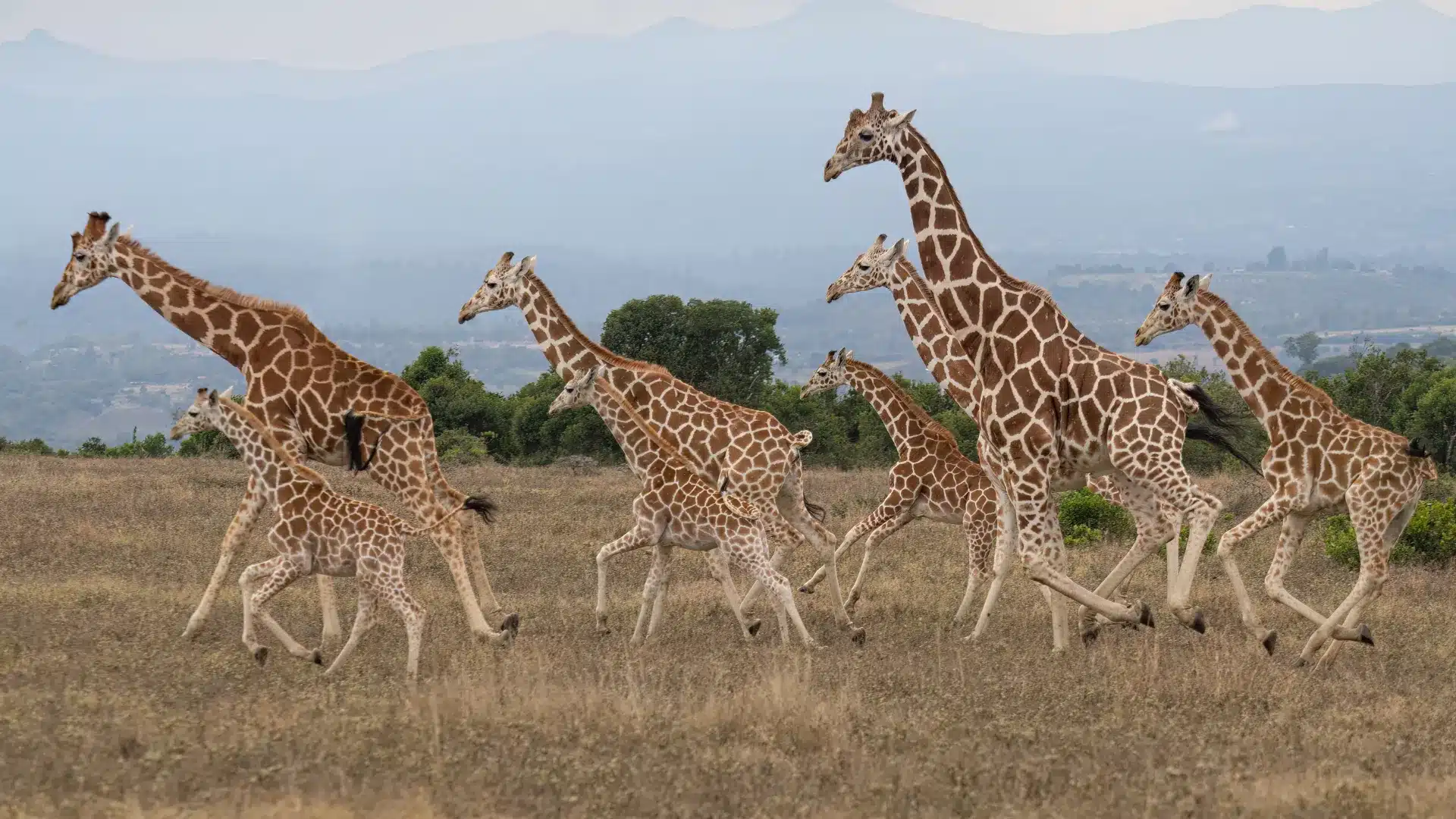 Film Production Services in Kenya