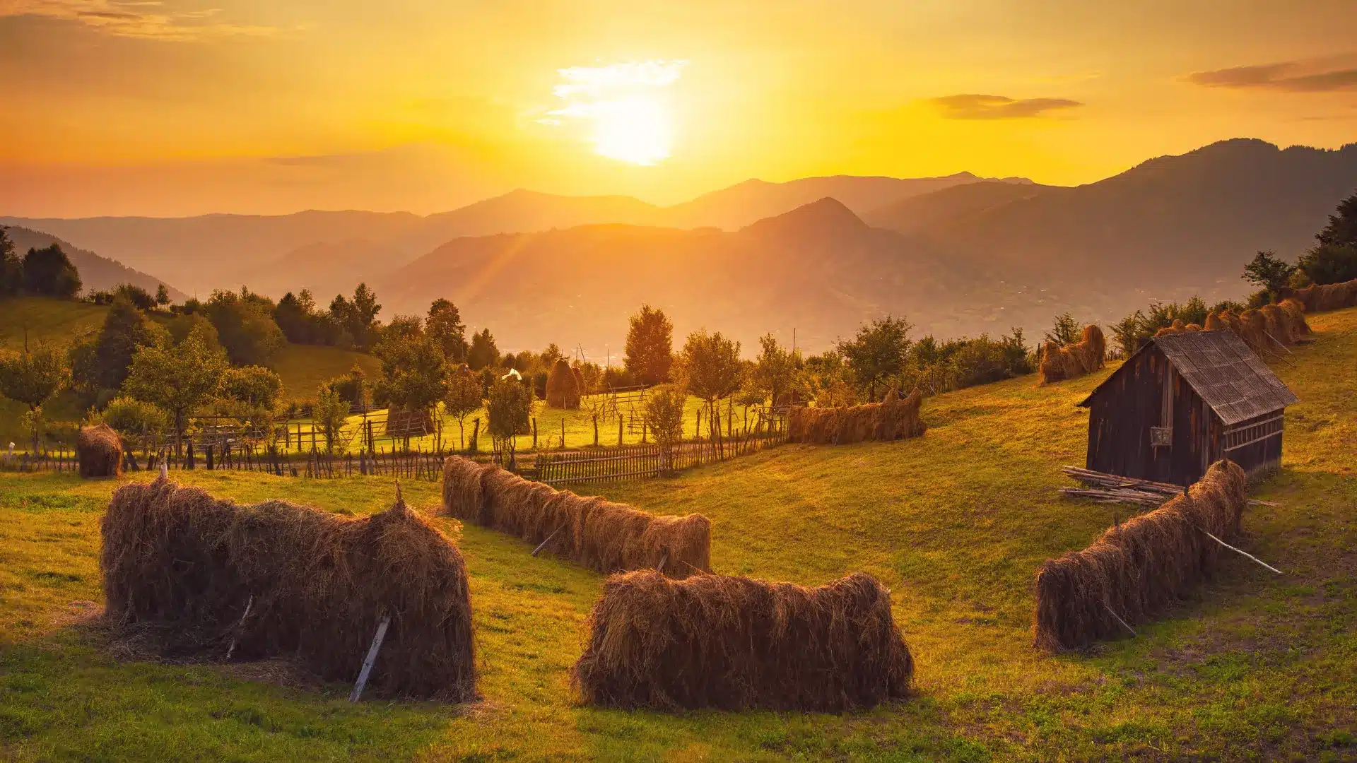 Film Production Services in Romania