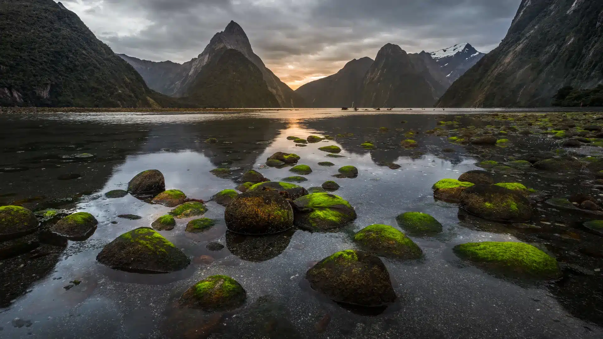 Film Production Services in New Zealand