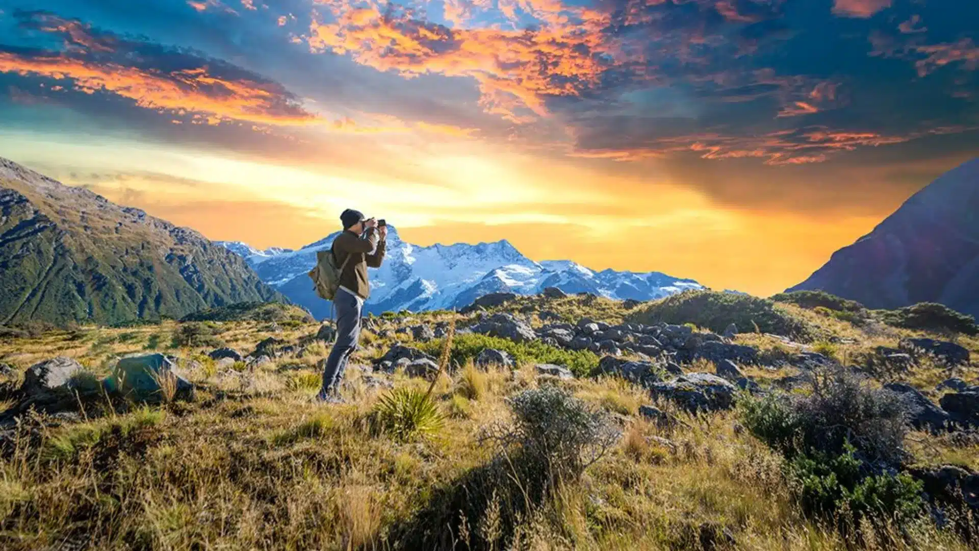 Filming Requirements in New Zealand