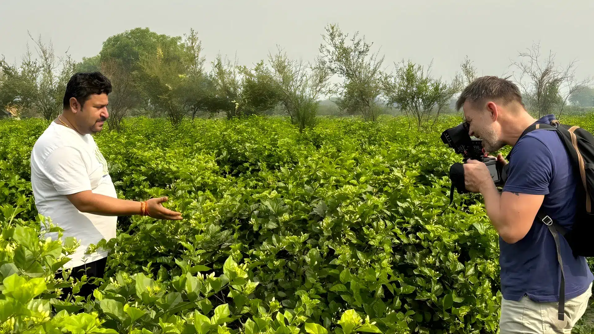 Top Filming Locations in Suriname