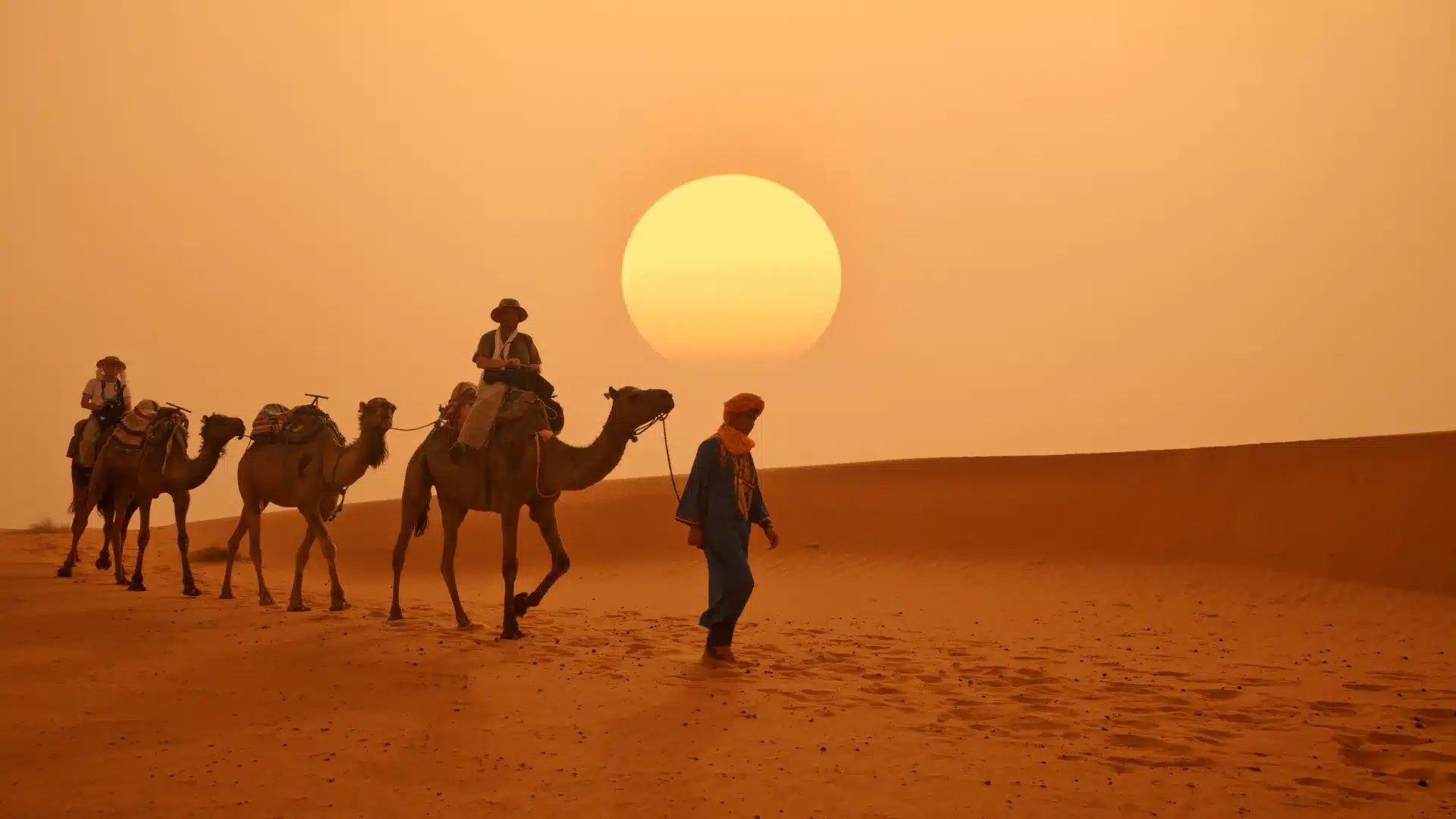 film equipment into North Africa