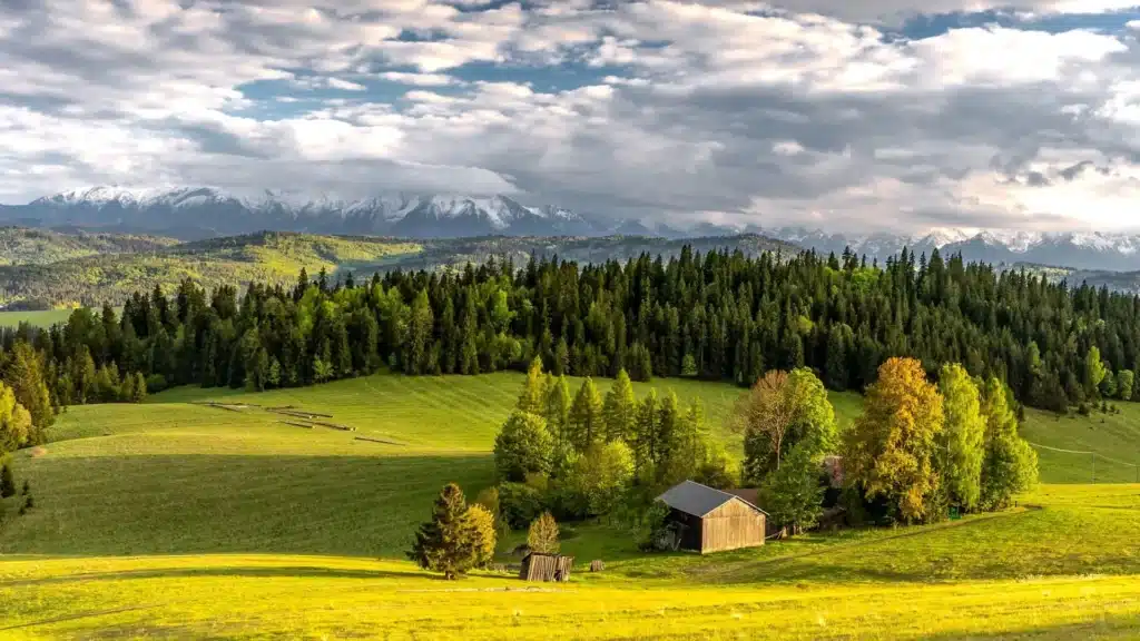 Poland Film Incentive